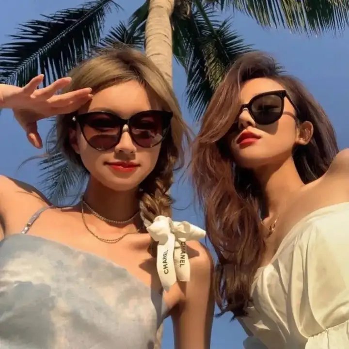 长春树 在线观看